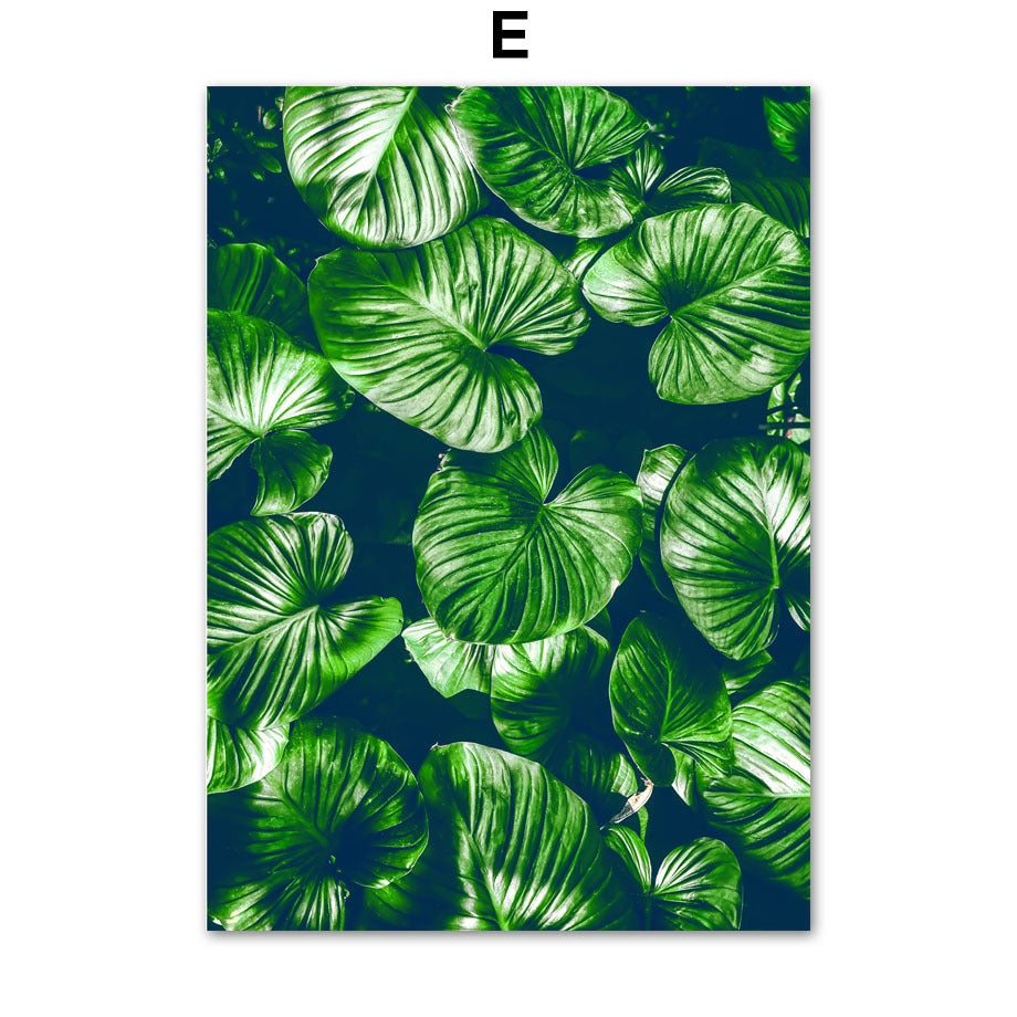 Green Plant Canvas Painting